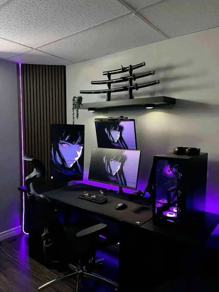 Gaming Setup